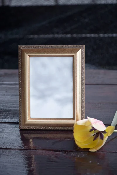 Minimalist mock up frame με τουλίπα και σκιές. Μοντέρνο εσωτερικό. Αντιγραφή χώρου. Μοντέρνο πρότυπο — Φωτογραφία Αρχείου