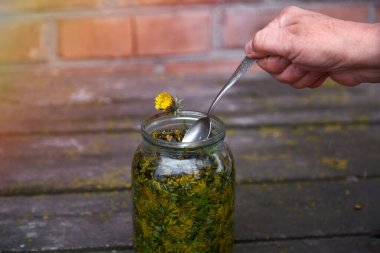 Bitkisel tıp konsepti. Karahindiba tentürü evde doğal bir homeopatik ilaçtır. Alkol katılmış karahindiba.