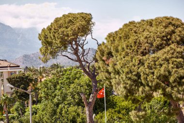 Güneşli bir günde dağlardaki villanın terasından ve Türk bayrağından güzel bir yaz manzarası. Yaz tatili kavramı. Türkiye 'nin seyahat reklamları.