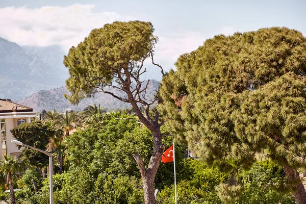 Güneşli bir günde dağlardaki villanın terasından ve Türk bayrağından güzel bir yaz manzarası. Yaz tatili kavramı. Türkiye 'nin seyahat reklamları.