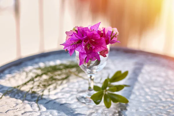 Yaz gerçeküstü çiçekler yaratıcı moda konsepti. Cam masadaki bir bardak şarabın içinde pembe Bougainvillea çiçekleri. Yaz tatili kavramı. — Stok fotoğraf
