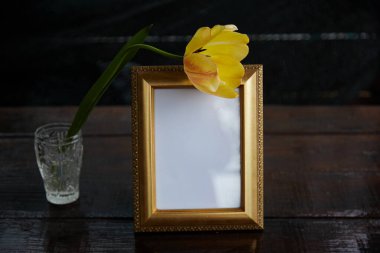 Zarif bahar, çerçeveyi lale çiçekleriyle süslüyor. Modern iç mekan, minimalist konsept. Uzayı kopyala Moda şablonu