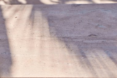 Bej rengi doğal taş duvarda tropikal palmiye yaprağı gölgesi olan kaliteli doku. Kozmetik ürün sunumu için asgari modayı oluşturan somut doku arkaplanı