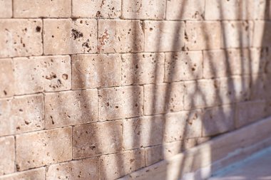 Bej rengi doğal taş duvarda tropikal palmiye yaprağı gölgesi olan egzotik bir doku. Ürün sunumu için asgari modayı oluşturan somut doku arkaplanı. 