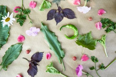 Sebze çerçevesi: pancar, fesleğen, patlıcan, maydanoz, dolma biber, acı biber, patates, salatalık, havuç. İtalyan sebze tarifi. Vejetaryen konsepti yiyecekler. Üst görünüm, kopyalama alanı. Yüksek kalite fotoğraf