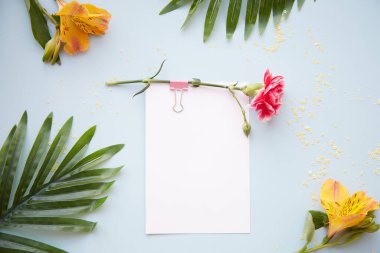 Şenlikli kartpostallar mavi arka planda Astroemeria ve Aistra çiçekleriyle birlikte. Üst Manzara. Eylül 'ün 1' i ve okula dönüş konsepti. Yüksek kalite fotoğraf