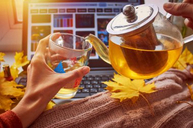 Sıcak çaydanlık çay, atkı, sarı yapraklar, şekerlemeler ve dizüstü bilgisayar. Sonbahar konforu. Rahat ev, serbest çalışma, online öğrenim, eğitim, uzaktan çalışma konsepti. Üst Manzara. Uzayı kopyala Yüksek kalite fotoğraf