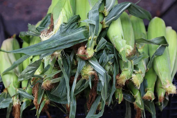 Ear Corn Close Local Farm Market Eco Juicy Fruits Shopping — Stock Photo, Image