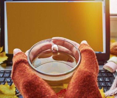 Sıcak bir fincan çay, sarı yapraklar ve dizüstü bilgisayar. Rahat ev, serbest çalışma, online öğrenim, eğitim, uzaktan çalışma konsepti. Üst Manzara. Uzayı kopyala Yüksek kalite fotoğraf