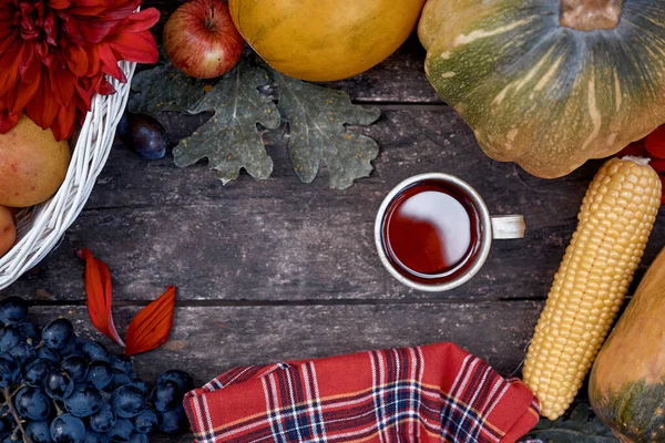 Hösten Rustik Stilleben Frukt Grönsaker Och Kopp Pumpa Päron Äpple — Stockfoto