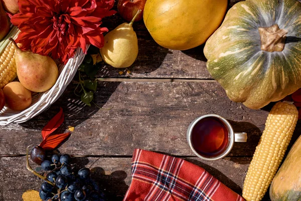 Mysig Höst Rustik Stilleben Kopp Frukt Grönsaker Med Moderna Skuggor — Stockfoto