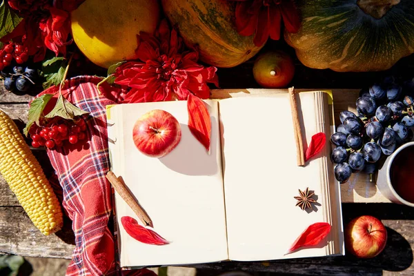Cozy autumn background: open book mock up, grapes, apples, viburnum, pumpkin, corn, mug of tea and cinnamon sticks on wooden table. Thanksgiving Day concept. Outdoor flat lay with trendy shadows