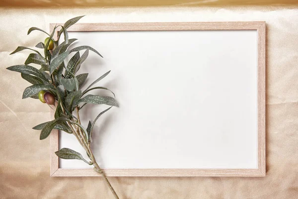 Minimalistic mock - up frame background with olive tree branch