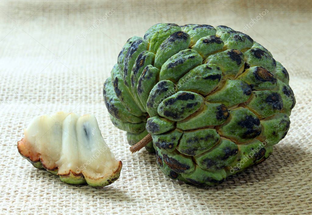 Piece of Annona squamosa fruit also known as 
