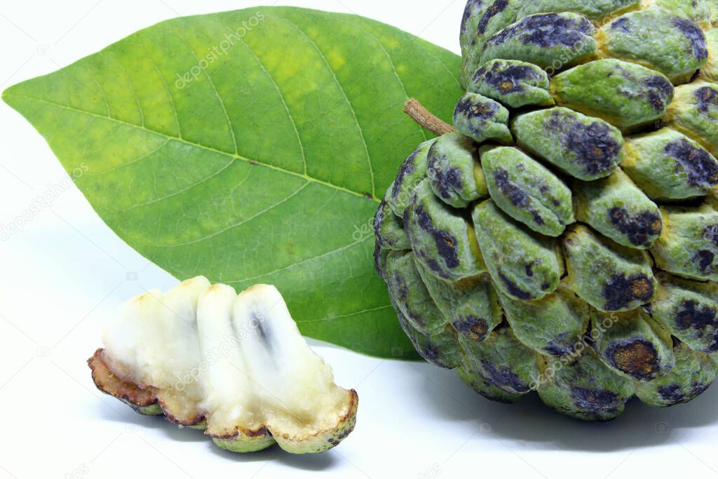 Piece of Annona squamosa fruit also known as 