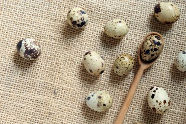 Bıldırcın yumurtası ve tahta kaşık.