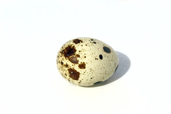 Fresh Quail Egg Isolated White Background — Stock Photo, Image