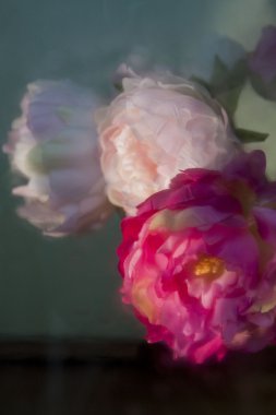 Hala camın ardında