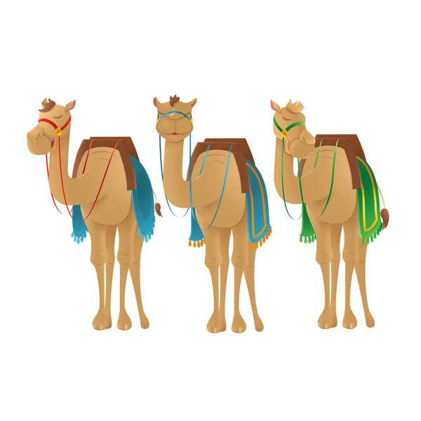 Cute Camels Dromedary Vector Illustration Isolated Transparent Background — Stock Vector