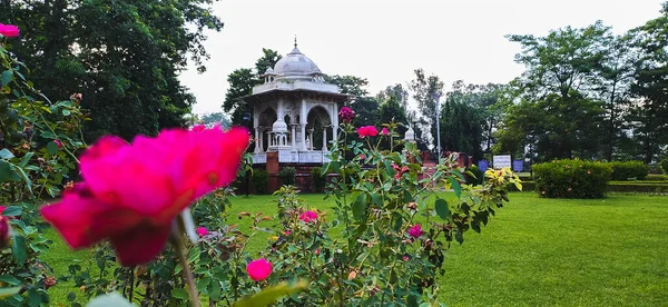 Vacker Frodig Grön Begum Hazrat Mahal Park Lucknow Uttar Pradesh — Stockfoto
