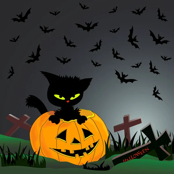 Gato, calabaza, cementerio — Vector de stock