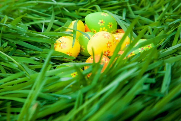 Ovos de Páscoa na grama — Fotografia de Stock