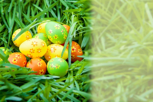 Pattern Easter eggs on the grass — Stock Photo, Image