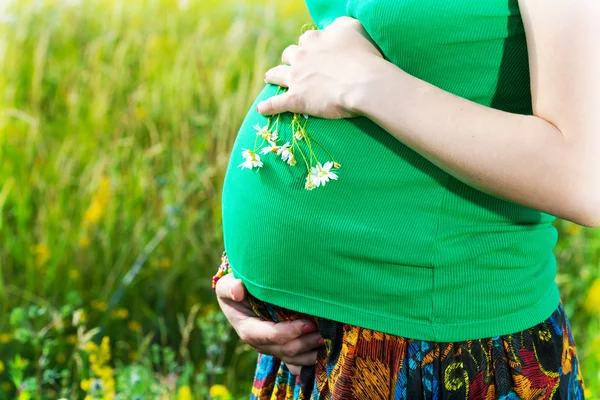 Portret van een mooie zwangere vrouw op het platteland — Stockfoto