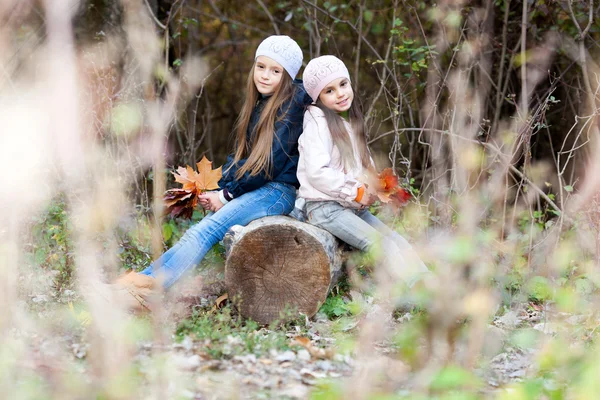 Dos hermosas chicas con una boina sentadas en el tronco posando — Foto de Stock