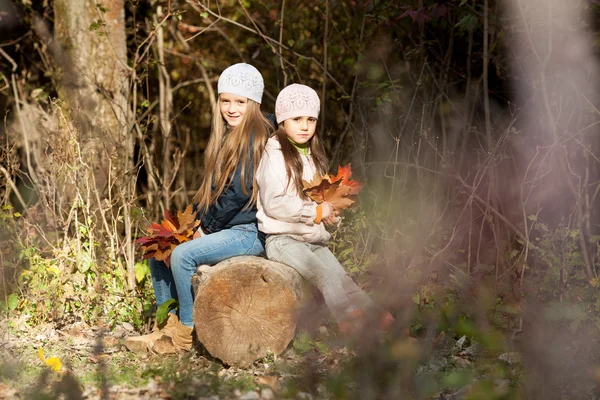 Dos hermosas chicas con una boina sentadas en el tronco posando — Foto de Stock