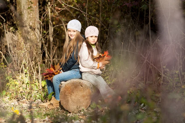 Zwei schöne Mädchen mit Baskenmütze sitzen auf Baumstamm posieren — Stockfoto