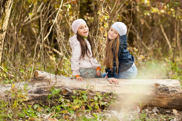 Duas meninas bonitas vestindo uma boina sentado no log posando — Fotografia de Stock