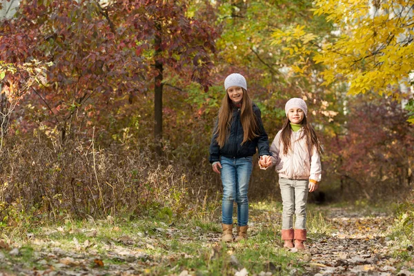 Två tjejer går i skogen — Stockfoto