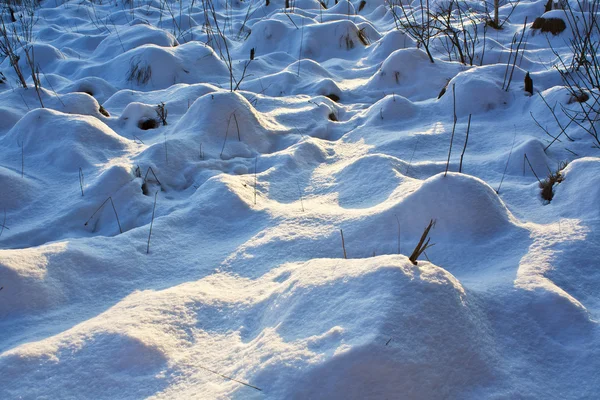Hummocks a hó alatt — Stock Fotó