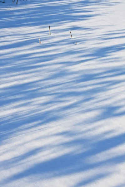 Schatten auf dem Schnee — Stockfoto