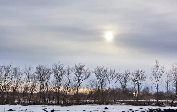 Low March sun — Stock Photo, Image