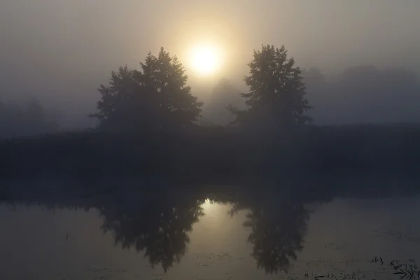 Ομίχλη πάνω από τη λίμνη — Φωτογραφία Αρχείου