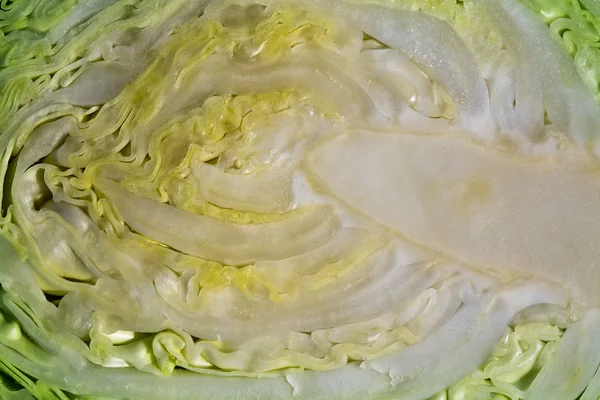 Cut cabbage — Stock Photo, Image