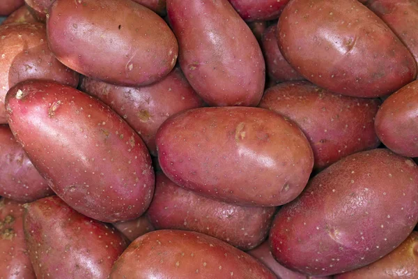红土豆 — 图库照片