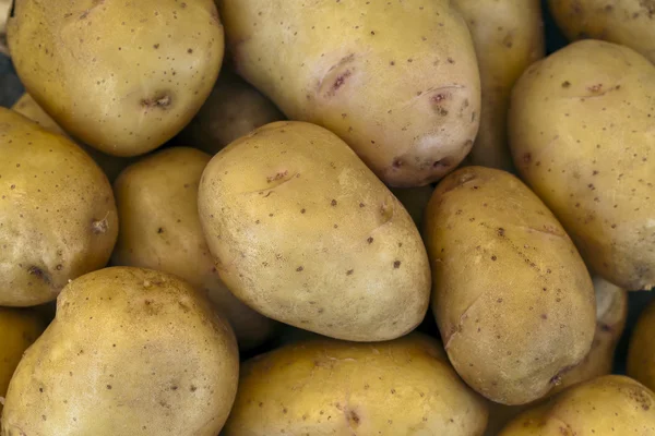 Yellow potatoes — Stock Photo, Image