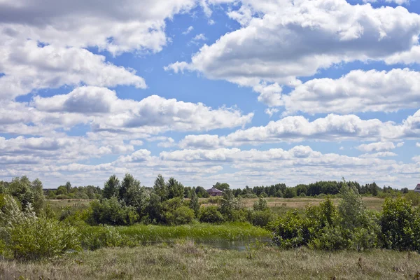 Літній сільський пейзаж — стокове фото