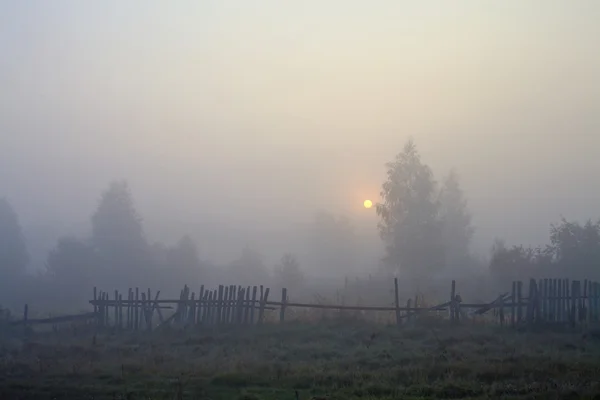 Lever de soleil dans le brouillard — Photo