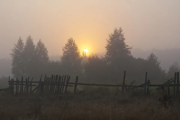Sonne im Nebel — Stockfoto