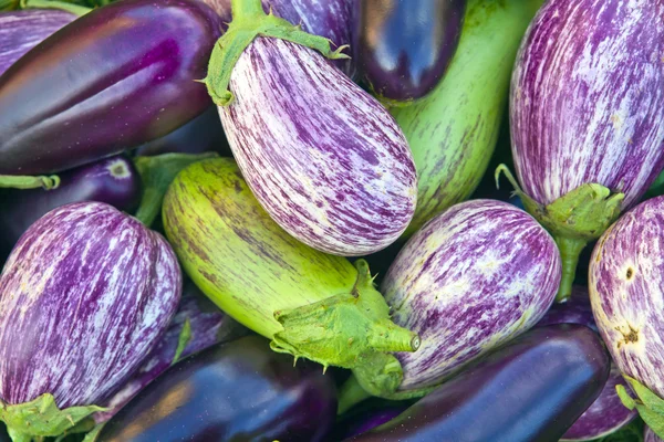 Patlıcan farklı renk