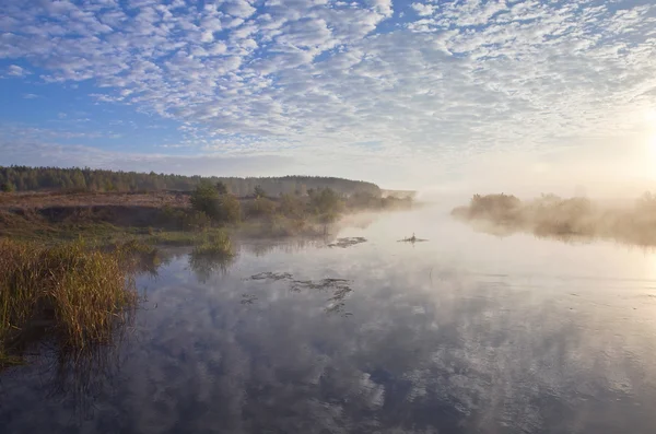 Matin sur la rivière — Photo