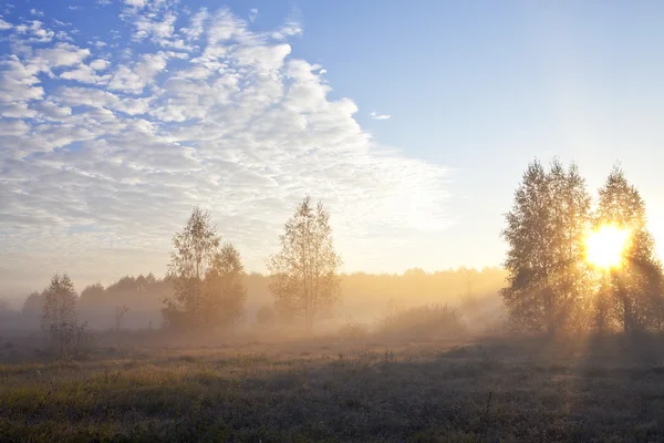 Güneş ışınları siste