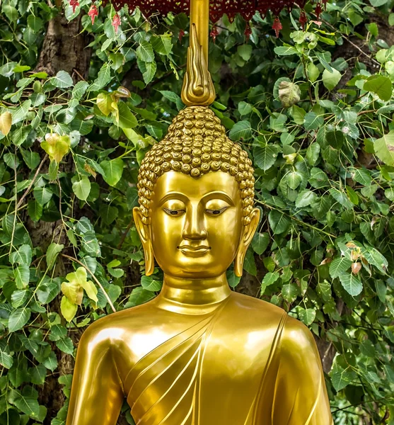 Arte estátua de Buda dourada . — Fotografia de Stock