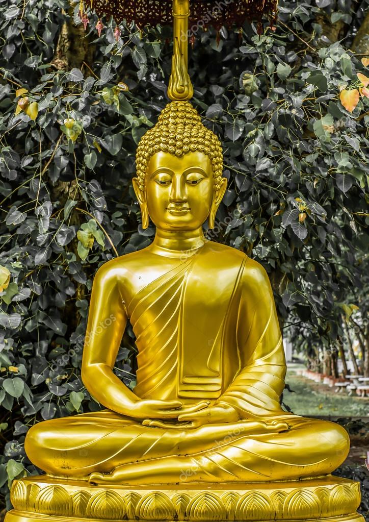 A Gold Buddha statue. Stock Photo by ©pitnu 65509899