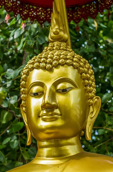 Gold Buddha statue. — Stock Photo, Image