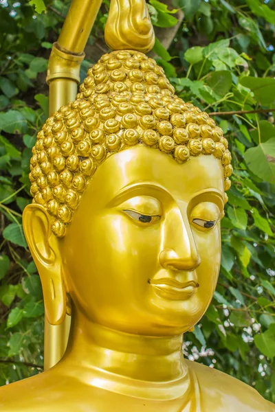 Guld buddha staty. — Stockfoto